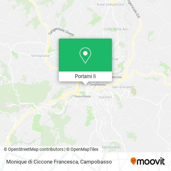 Mappa Monique di Ciccone Francesca