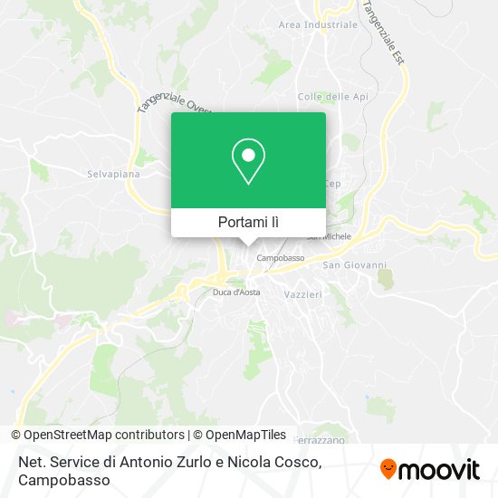 Mappa Net. Service di Antonio Zurlo e Nicola Cosco