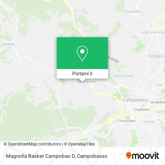 Mappa Magnolia Basket Campobao D