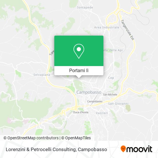 Mappa Lorenzini & Petrocelli Consulting