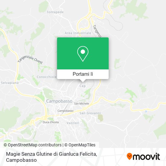 Mappa Magie Senza Glutine di Gianluca Felicita