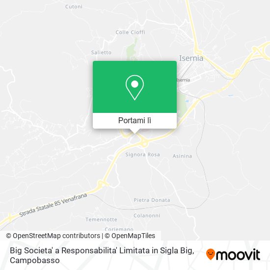 Mappa Big Societa' a Responsabilita' Limitata in Sigla Big