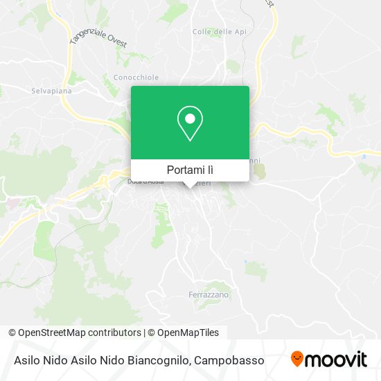 Mappa Asilo Nido Asilo Nido Biancognilo