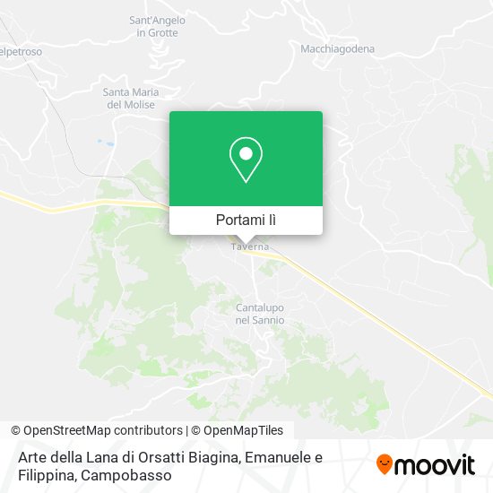 Mappa Arte della Lana di Orsatti Biagina, Emanuele e Filippina