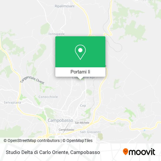Mappa Studio Delta di Carlo Oriente