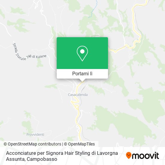 Mappa Acconciature per Signora Hair Styling di Lavorgna Assunta