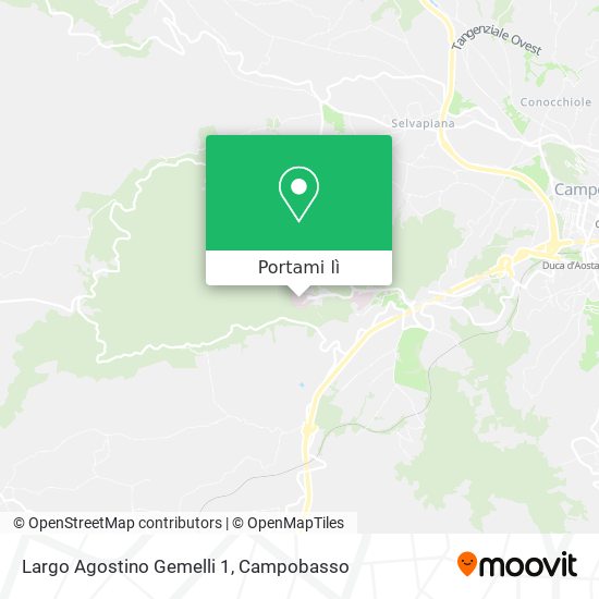 Mappa Largo Agostino Gemelli 1