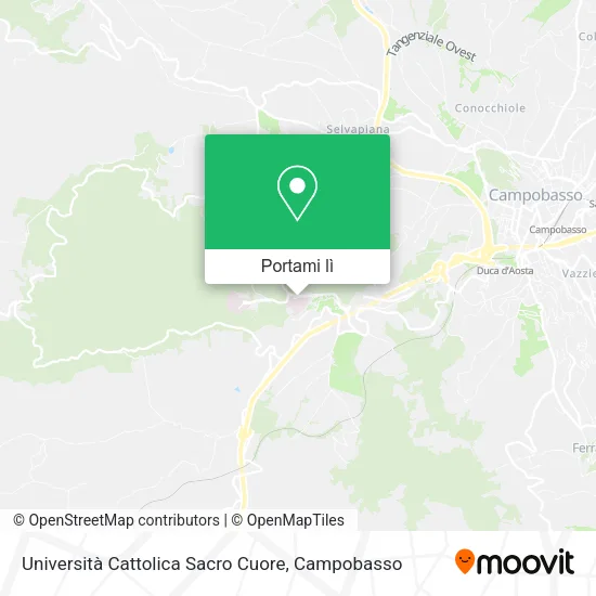 Mappa Università Cattolica Sacro Cuore