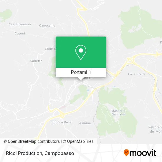 Mappa Ricci Production