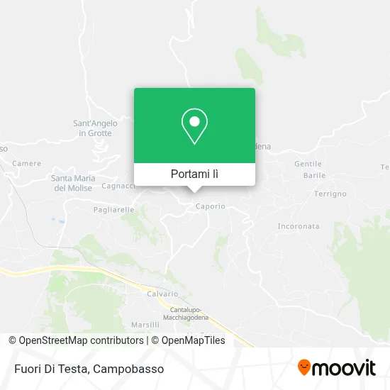 Mappa Fuori Di Testa