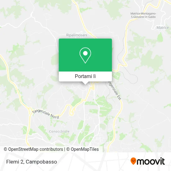 Mappa Flemi 2