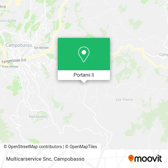 Mappa Multicarservice Snc