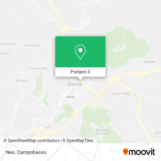 Mappa Nes