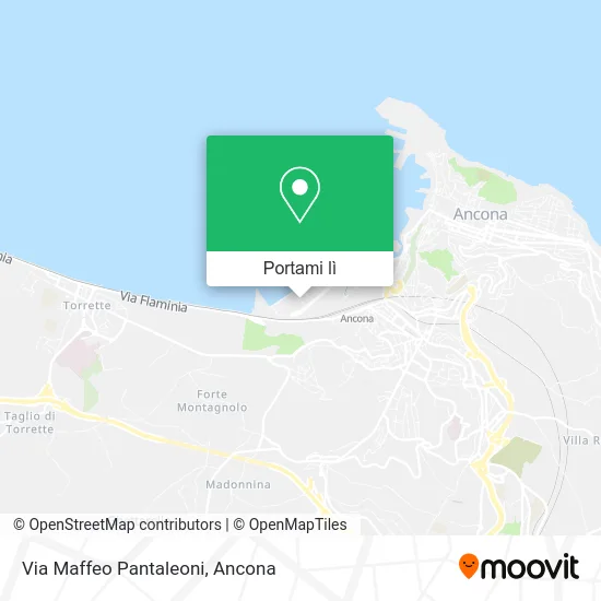 Mappa Via Maffeo Pantaleoni