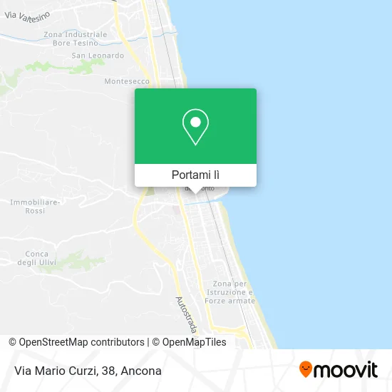 Mappa Via Mario Curzi, 38