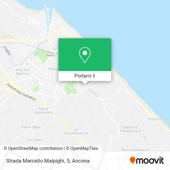 Mappa Strada Marcello Malpighi, 5