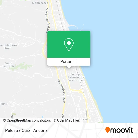 Mappa Palestra Curzi