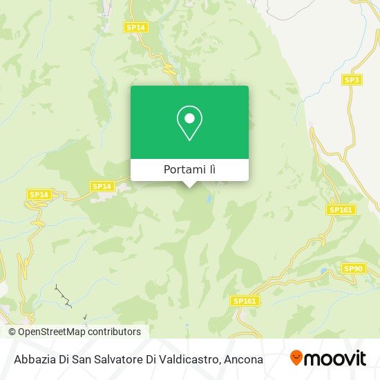 Mappa Abbazia Di San Salvatore Di Valdicastro