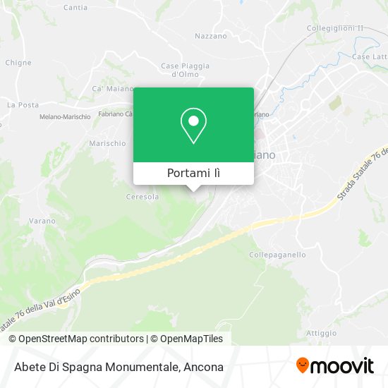 Mappa Abete Di Spagna Monumentale