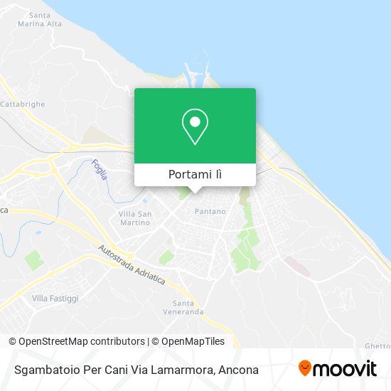Mappa Sgambatoio Per Cani Via Lamarmora