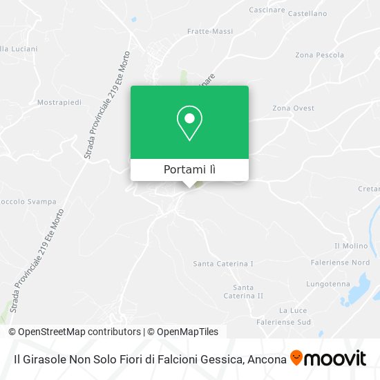 Mappa Il Girasole Non Solo Fiori di Falcioni Gessica