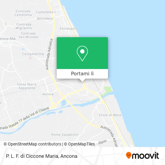 Mappa P. L. F. di Ciccone Maria