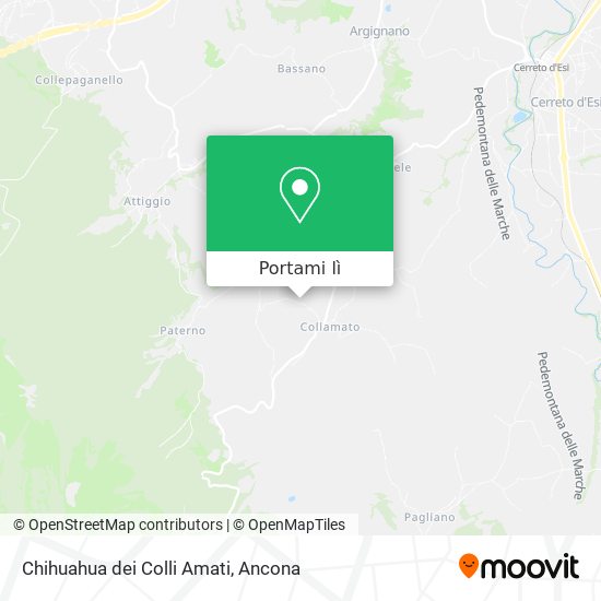 Mappa Chihuahua dei Colli Amati
