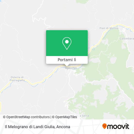 Mappa Il Melograno di Landi Giulia