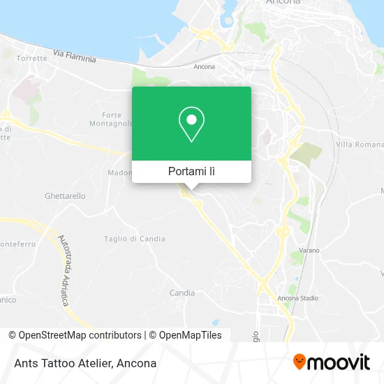 Mappa Ants Tattoo Atelier