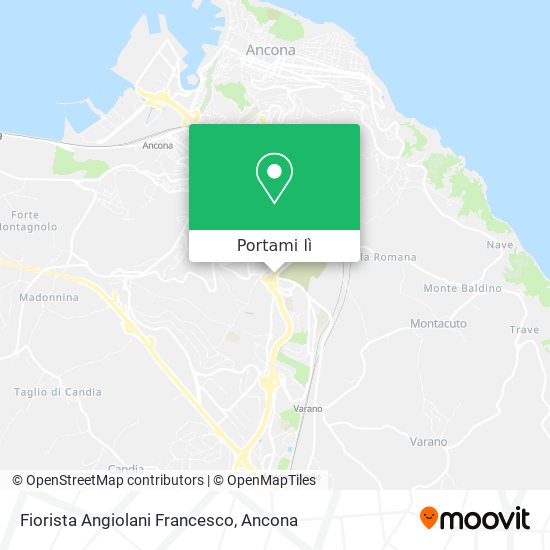 Mappa Fiorista Angiolani Francesco
