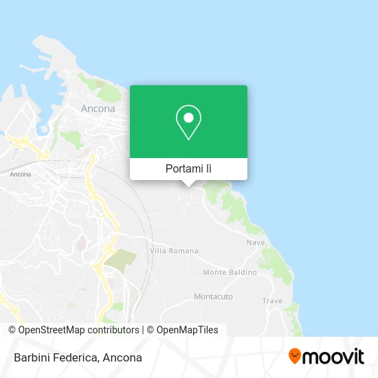 Mappa Barbini Federica