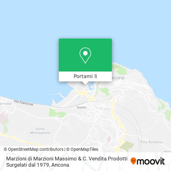 Mappa Marzioni di Marzioni Massimo & C. Vendita Prodotti Surgelati dal 1979