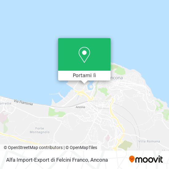Mappa Alfa Import-Export di Felcini Franco
