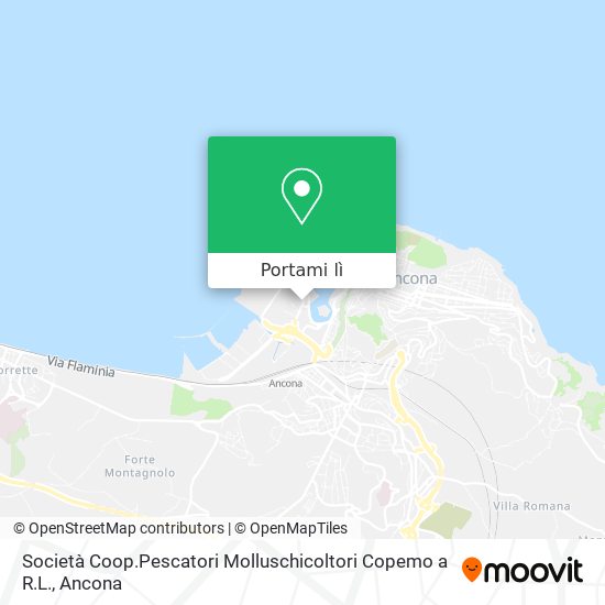 Mappa Società Coop.Pescatori Molluschicoltori Copemo a R.L.