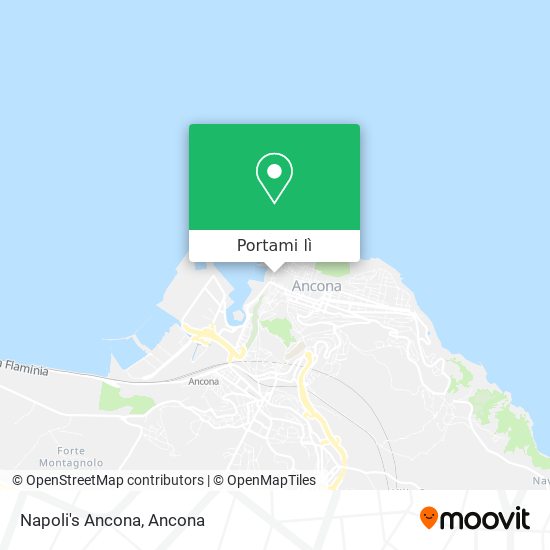 Mappa Napoli's Ancona