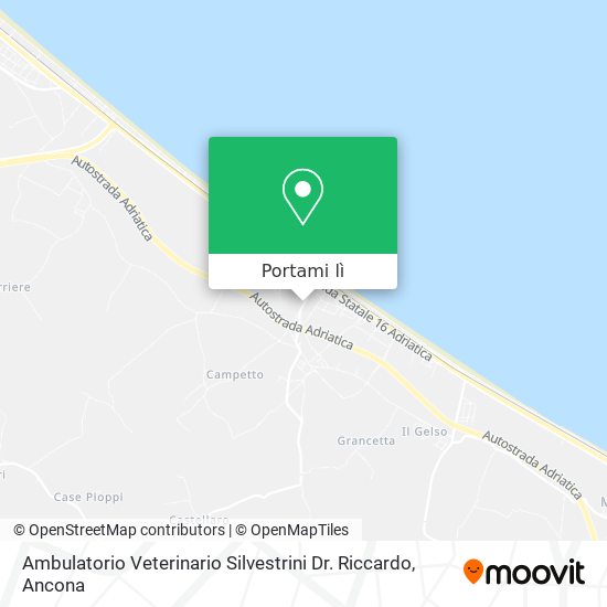 Mappa Ambulatorio Veterinario Silvestrini Dr. Riccardo