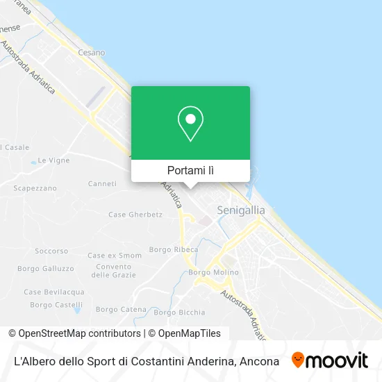 Mappa L'Albero dello Sport di Costantini Anderina