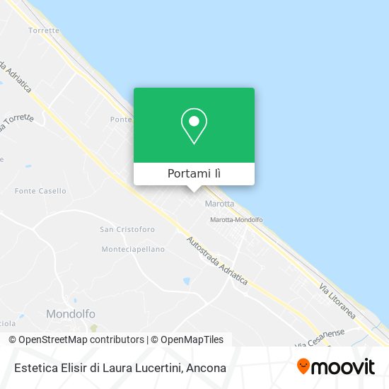 Mappa Estetica Elisir di Laura Lucertini