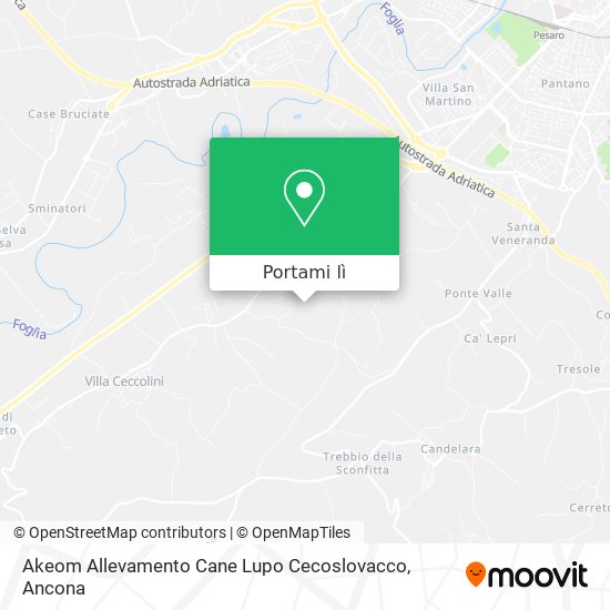 Mappa Akeom Allevamento Cane Lupo Cecoslovacco