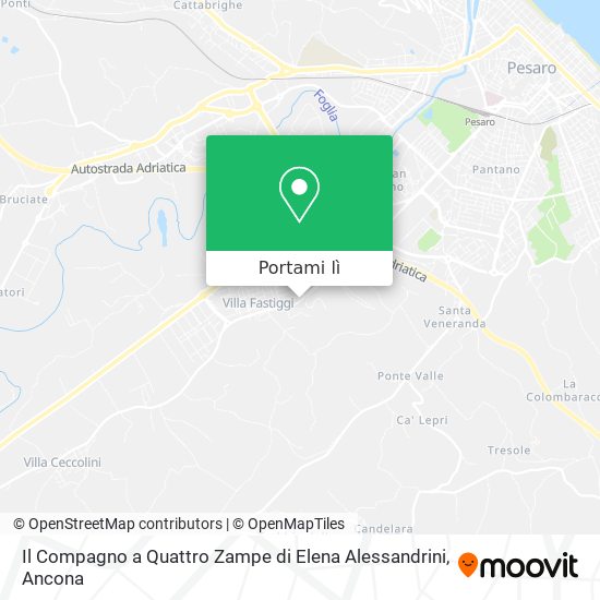 Mappa Il Compagno a Quattro Zampe di Elena Alessandrini
