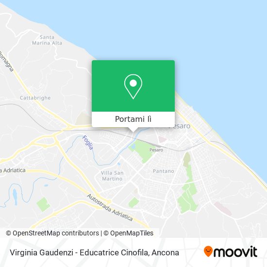 Mappa Virginia Gaudenzi - Educatrice Cinofila