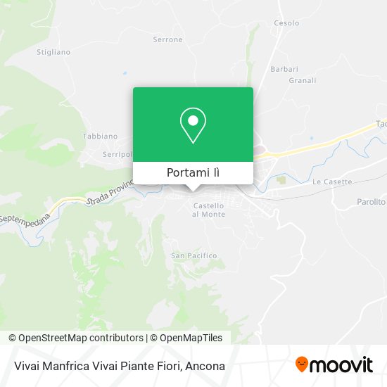 Mappa Vivai Manfrica Vivai Piante Fiori