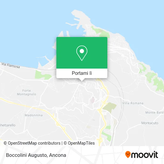 Mappa Boccolini Augusto