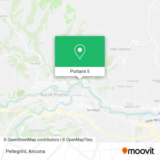 Mappa Pellegrini