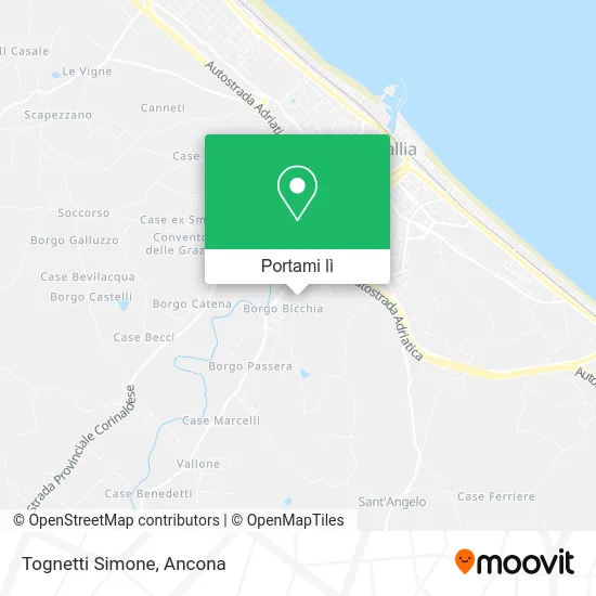 Mappa Tognetti Simone