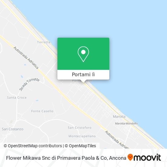 Mappa Flower Mikawa Snc di Primavera Paola & Co