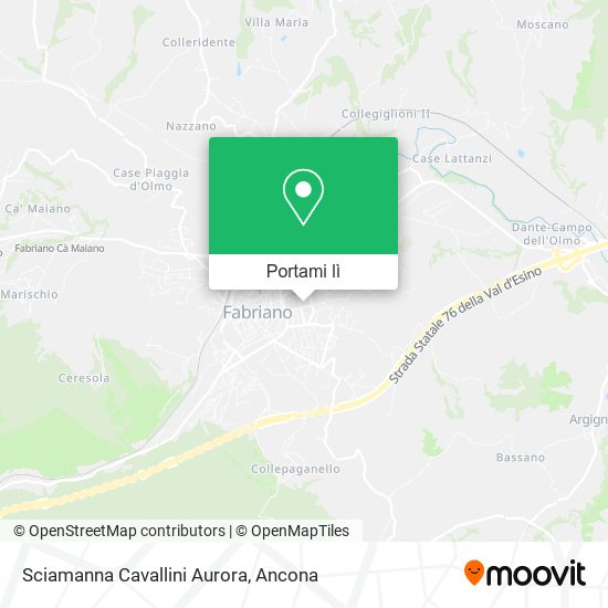 Mappa Sciamanna Cavallini Aurora