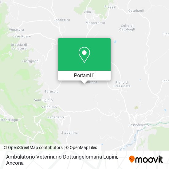 Mappa Ambulatorio Veterinario Dottangelomaria Lupini