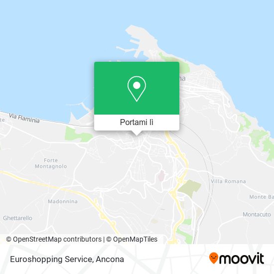 Mappa Euroshopping Service