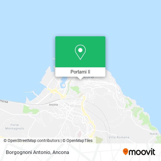 Mappa Borgognoni Antonio